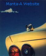 Foto der ARAL-Werbung